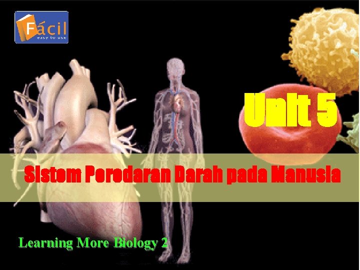 Unit 5 Sistem Peredaran Darah pada Manusia Learning More Biology 2 