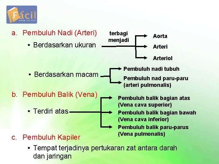 a. Pembuluh Nadi (Arteri) • Berdasarkan ukuran terbagi menjadi Aorta Arteriol • Berdasarkan macam