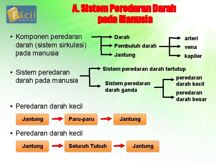 A. Sistem Peredaran Darah pada Manusia • Komponen peredaran darah (sistem sirkulasi) pada manusia