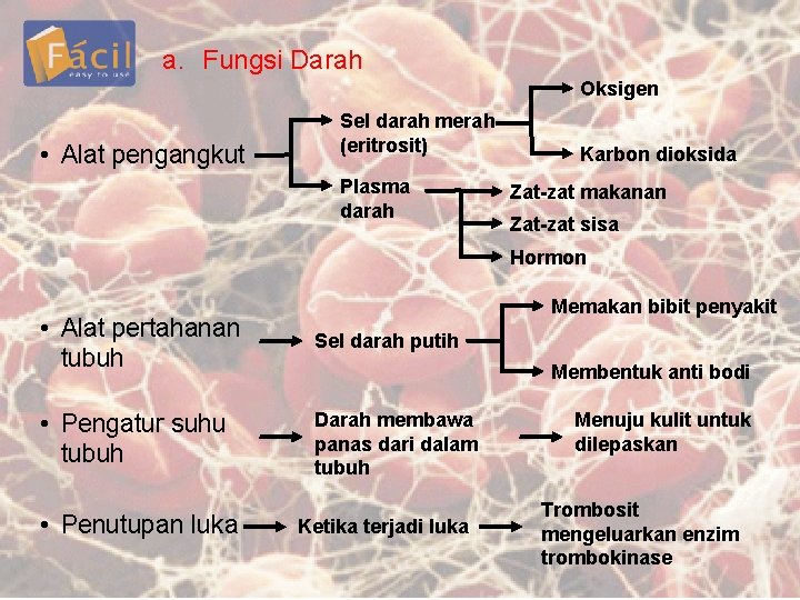 a. Fungsi Darah Oksigen • Alat pengangkut Sel darah merah (eritrosit) Plasma darah Karbon