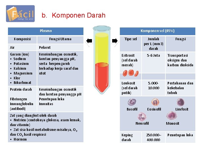 b. Komponen Darah Plasma Komposisi Fungsi Utama Air Pelarut Garam (ion) • Sodium •