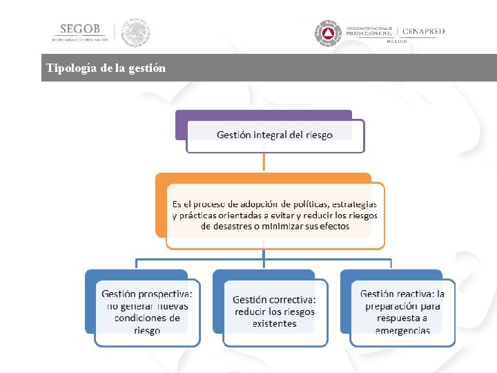 Tipología de la gestión 