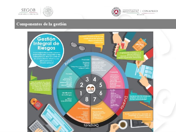 Componentes de la gestión 