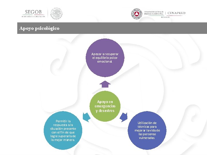 Apoyo psicológico Apoyar a recuperar el equilibrio psicoemocional. Apoyo en emergencias y desastres Permitir