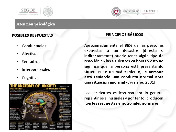 Atención psicológica POSIBLES RESPUESTAS PRINCIPIOS BÁSICOS • Conductuales Aproximadamente el 86% de las personas