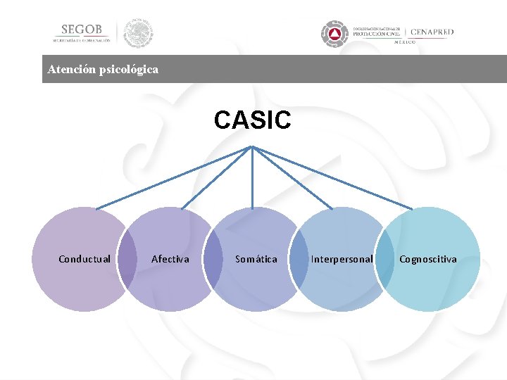 Atención psicológica CASIC Conductual Afectiva Somática Interpersonal Cognoscitiva 