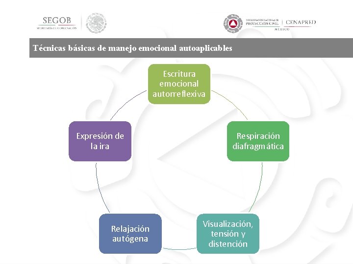 Técnicas básicas de manejo emocional autoaplicables Escritura emocional autorreflexiva Expresión de la ira Relajación