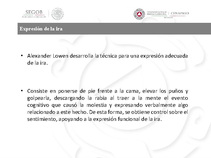 Expresión de la ira • Alexander Lowen desarrolla la técnica para una expresión adecuada
