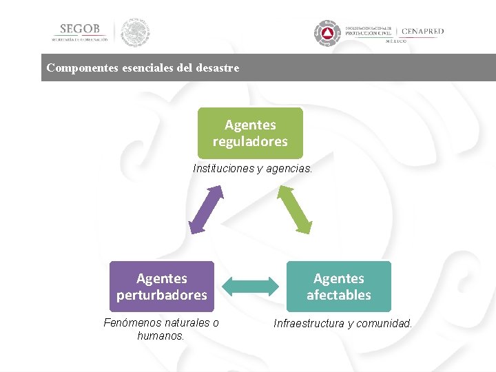 Componentes esenciales del desastre Agentes reguladores Instituciones y agencias. Agentes perturbadores Fenómenos naturales o