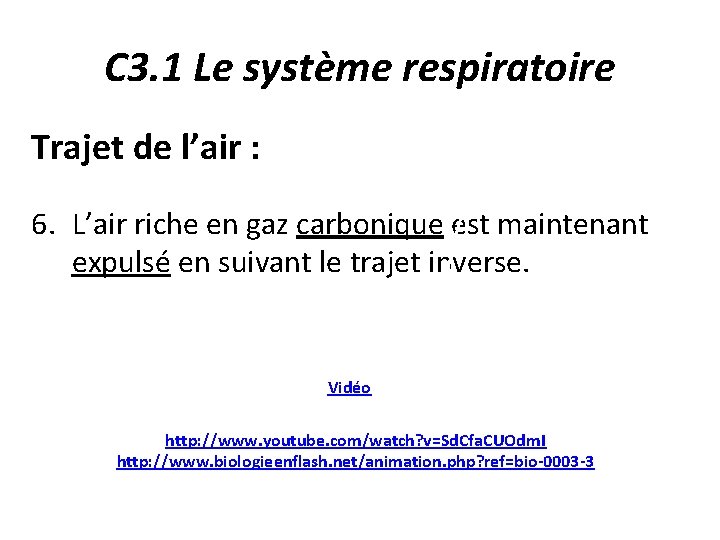 C 3. 1 Le système respiratoire Trajet de l’air : 6. L’air riche en