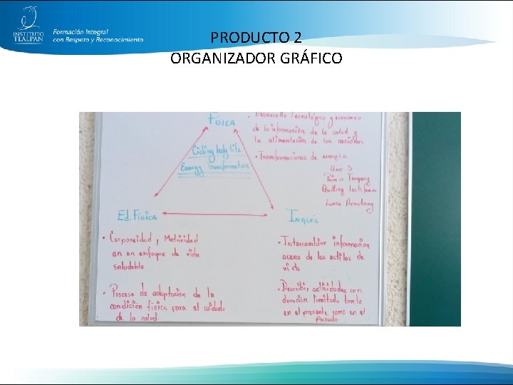 PRODUCTO 2 ORGANIZADOR GRÁFICO 