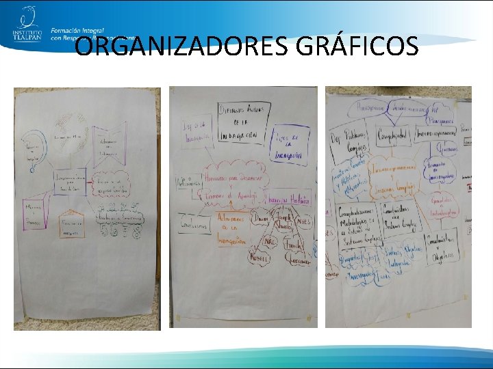 ORGANIZADORES GRÁFICOS 