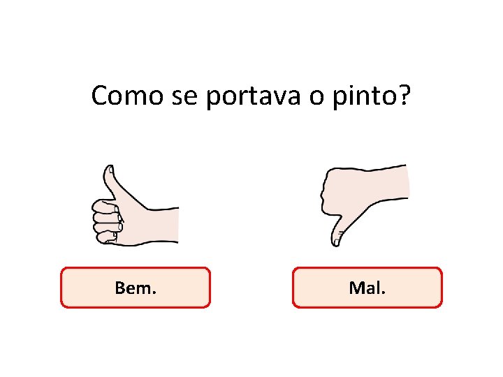 Como se portava o pinto? Bem. Mal. Como se portava o pinto? Bem. Mal.