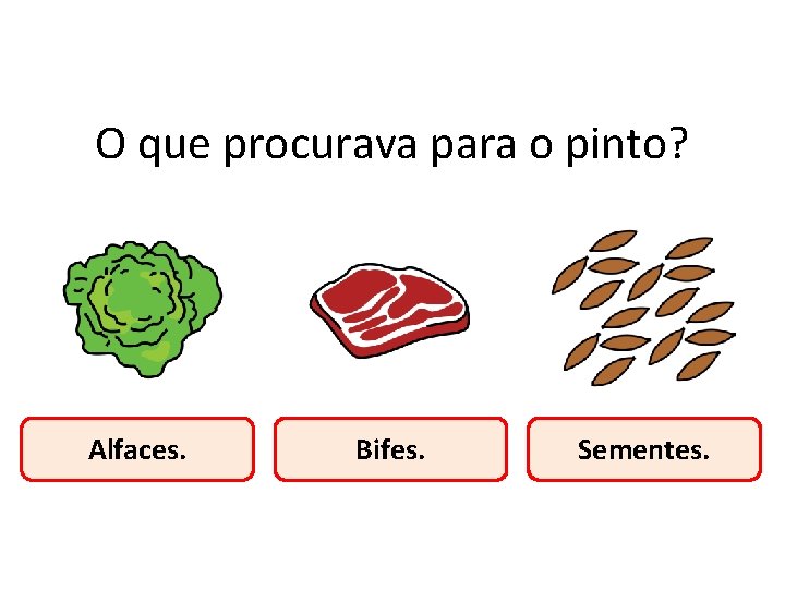 O que procurava para o pinto? Alfaces. Bifes. Sementes. 