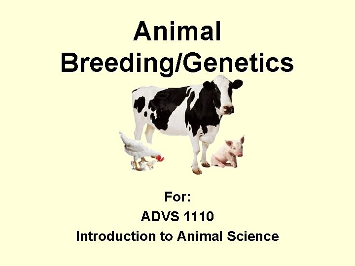 Animal Breeding/Genetics For: ADVS 1110 Introduction to Animal Science 