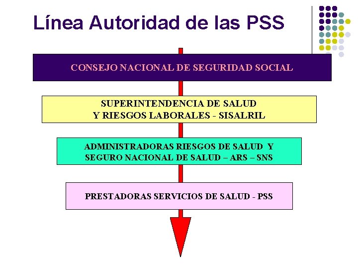 Línea Autoridad de las PSS CONSEJO NACIONAL DE SEGURIDAD SOCIAL SUPERINTENDENCIA DE SALUD Y