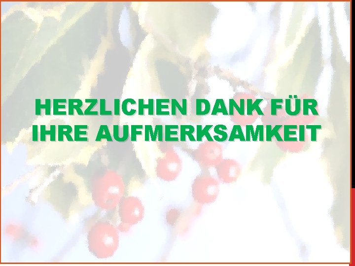 HERZLICHEN DANK FÜR IHRE AUFMERKSAMKEIT 
