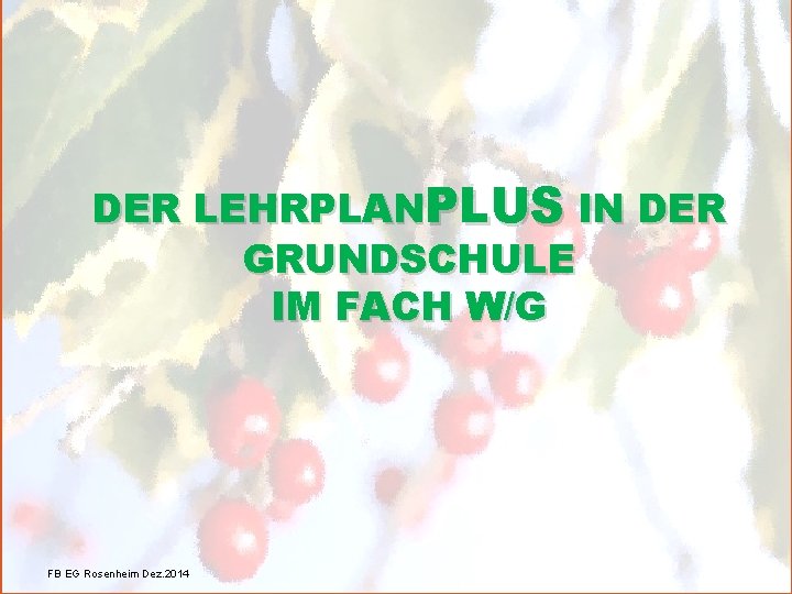 DER LEHRPLANPLUS IN DER GRUNDSCHULE IM FACH W/G FB EG Rosenheim Dez. 2014 