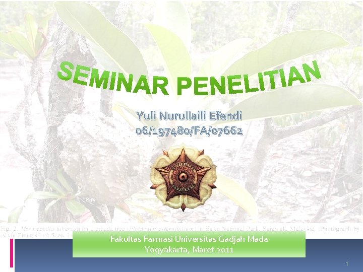 Yuli Nurullaili Efendi 06/197480/FA/07662 Fakultas Farmasi Universitas Gadjah Mada Yogyakarta, Maret 2011 1 