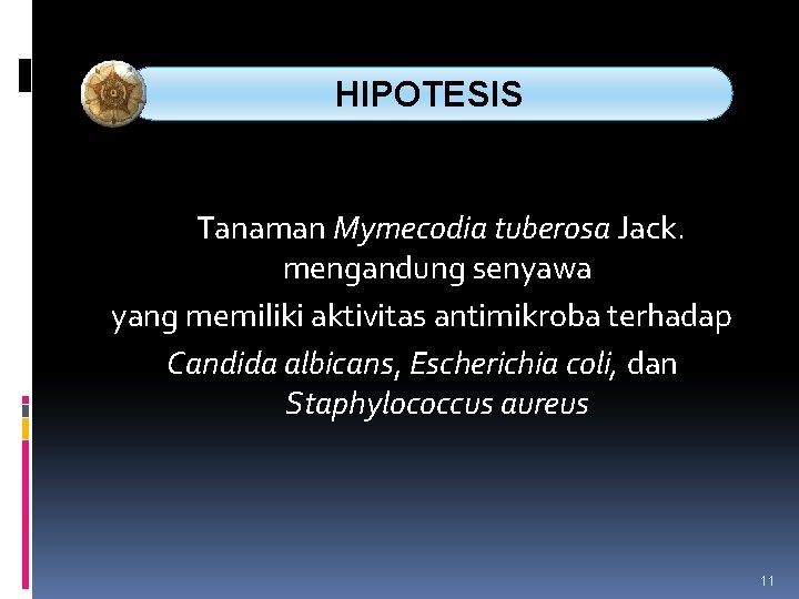 HIPOTESIS Tanaman Mymecodia tuberosa Jack. mengandung senyawa yang memiliki aktivitas antimikroba terhadap Candida albicans,