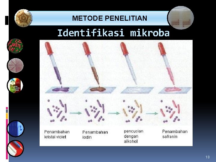  METODE PENELITIAN Identifikasi mikroba 18 