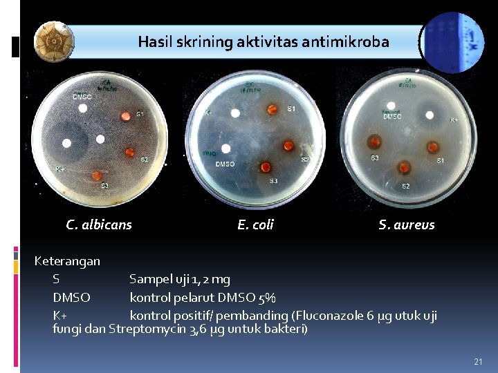 PENELITIAN Hasil. METODE skrining aktivitas antimikroba C. albicans E. coli S. aureus Keterangan S