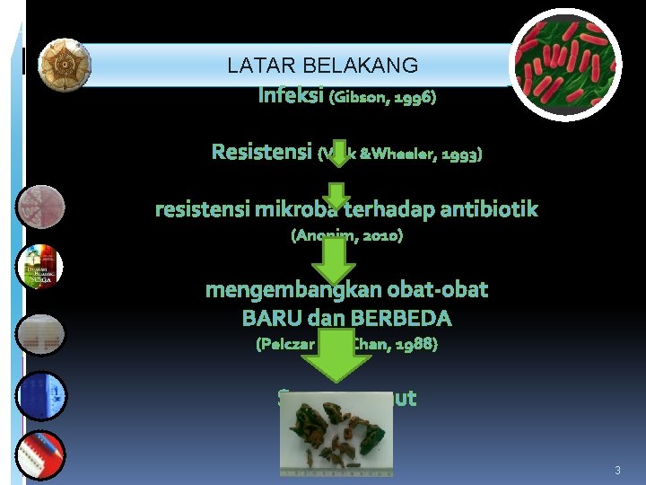  LATAR BELAKANG Infeksi (Gibson, 1996) Resistensi (Volk &Wheeler, 1993) resistensi mikroba terhadap antibiotik