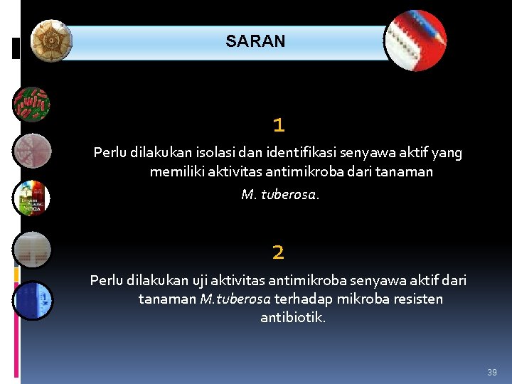  SARAN 1 Perlu dilakukan isolasi dan identifikasi senyawa aktif yang memiliki aktivitas antimikroba