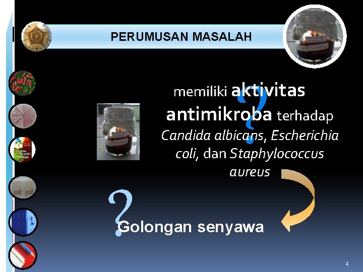  PERUMUSAN MASALAH ? memiliki aktivitas antimikroba terhadap Candida albicans, Escherichia coli, dan Staphylococcus