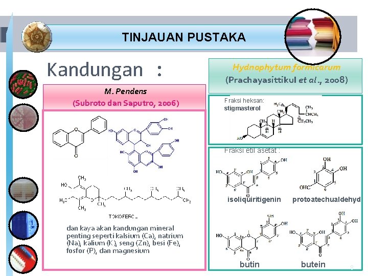 TINJAUAN PUSTAKA Kandungan : M. Pendens (Subroto dan Saputro, 2006) Hydnophytum formicarum (Prachayasittikul TINJAUAN PUSTAKA Kandungan : M. Pendens (Subroto dan Saputro, 2006) Hydnophytum formicarum (Prachayasittikul