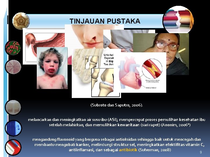  TINJAUAN PUSTAKA Kegunaan: (Subroto dan Saputro, 2006). melancarkan dan meningkatkan air susu ibu