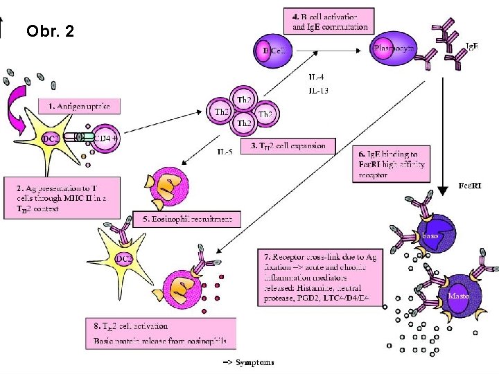 Obr. 2 