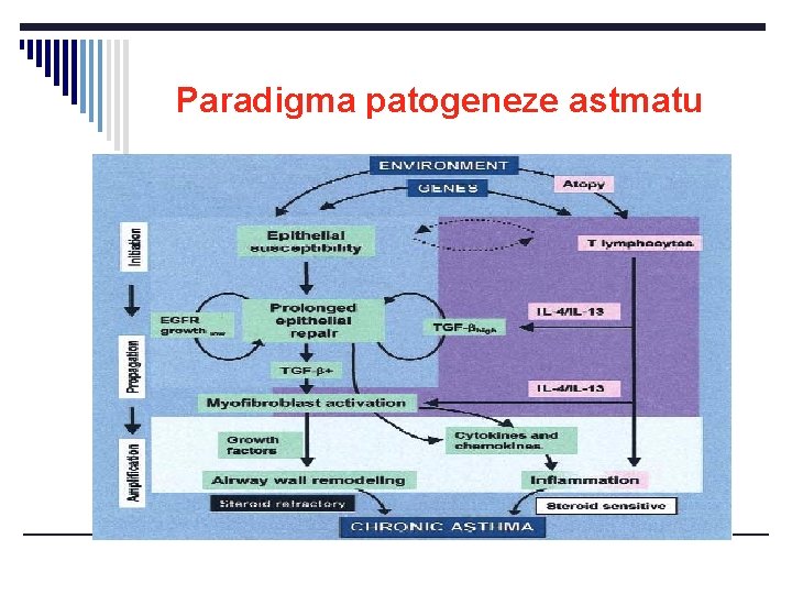 Paradigma patogeneze astmatu 