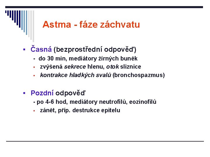 Astma - fáze záchvatu § Časná (bezprostřední odpověď) - do 30 min, mediátory žírných