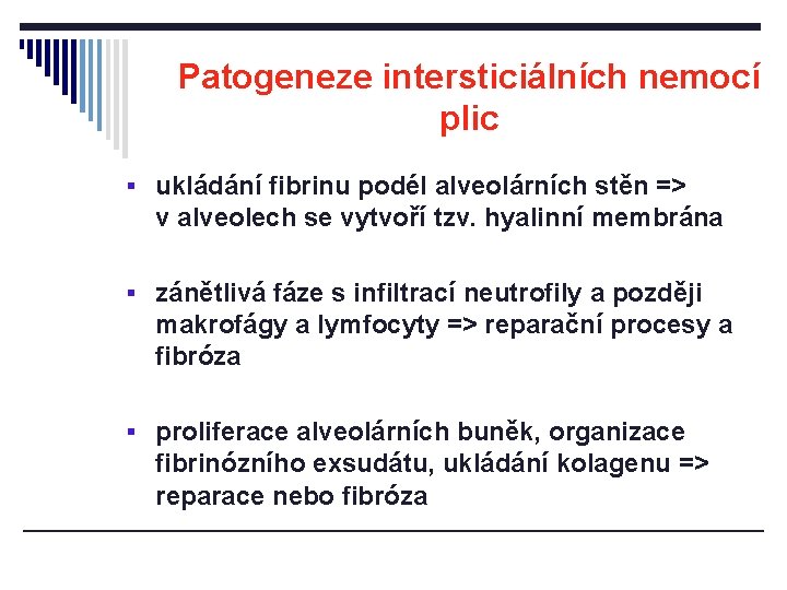 Patogeneze intersticiálních nemocí plic § ukládání fibrinu podél alveolárních stěn => v alveolech se Patogeneze intersticiálních nemocí plic § ukládání fibrinu podél alveolárních stěn => v alveolech se