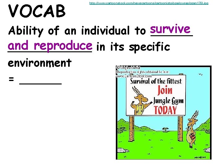 VOCAB http: //www. cartoonstock. com/newscartoons/cartoonists/cga/lowres/cgan 170 l. jpg Ability of an individual to survive