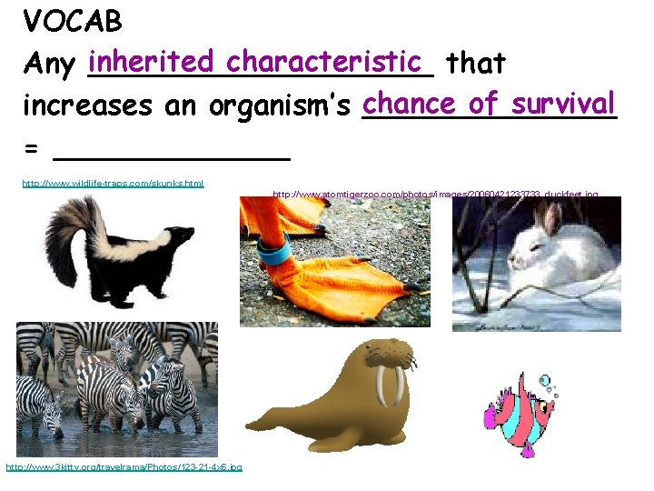 VOCAB inherited characteristic that Any __________ of survival increases an organism’s chance _______ =