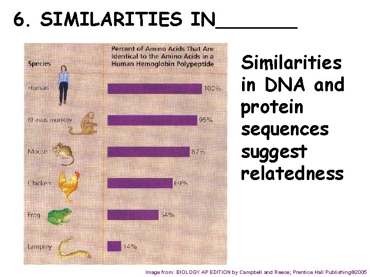 6. SIMILARITIES IN_______ Similarities in DNA and protein sequences suggest relatedness Image from: BIOLOGY