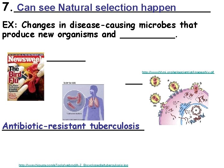 7. ______________ Can see Natural selection happen EX: Changes in disease-causing microbes that produce
