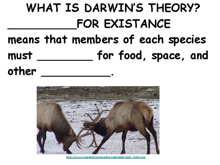 WHAT IS DARWIN’S THEORY? _____FOR EXISTANCE means that members of each species must ____
