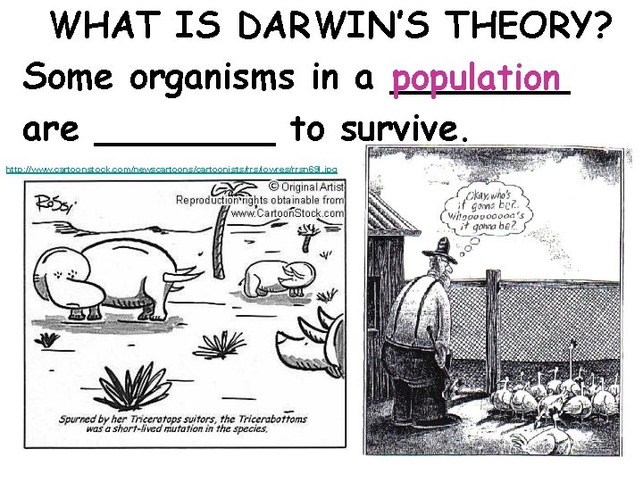 WHAT IS DARWIN’S THEORY? Some organisms in a ____ population are ____ to survive.