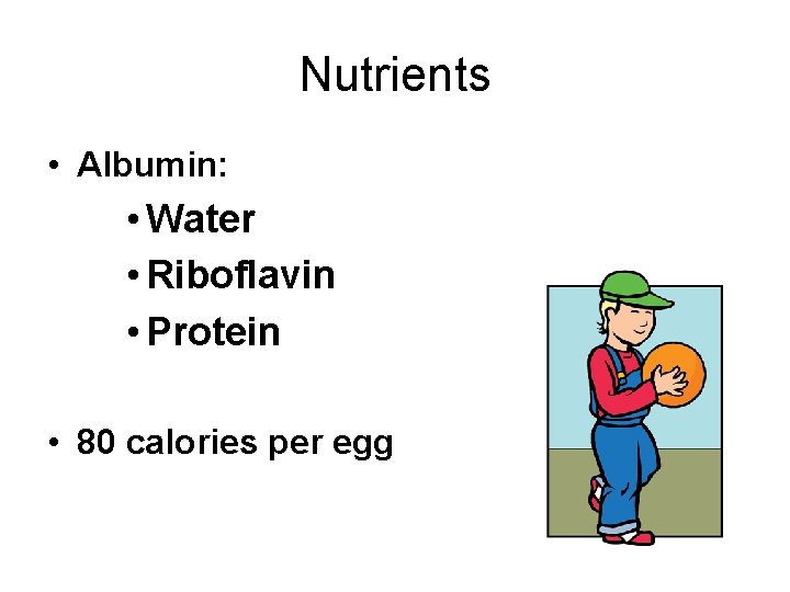 Nutrients • Albumin: • Water • Riboflavin • Protein • 80 calories per egg