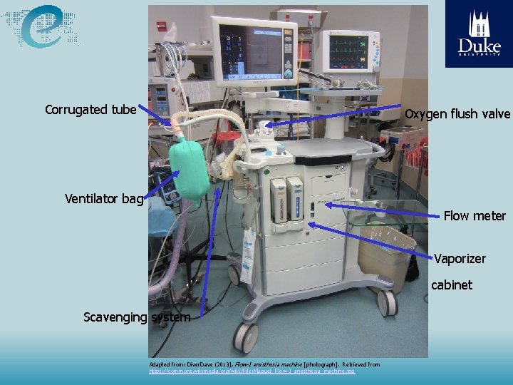 Corrugated tube Oxygen flush valve Ventilator bag Flow meter Vaporizer cabinet Scavenging system Source: Corrugated tube Oxygen flush valve Ventilator bag Flow meter Vaporizer cabinet Scavenging system Source: