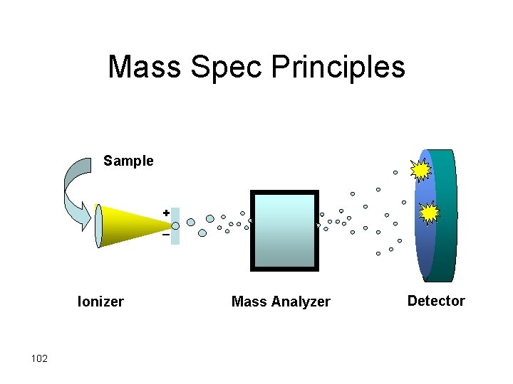 Mass Spec Principles Sample + _ Ionizer 102 Mass Analyzer Detector 