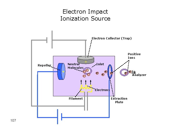 Electron Impact Ionization Source Electron Collector (Trap) Positive Ions Neutral Molecules Repeller + +