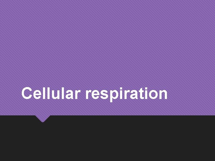 Cellular respiration 