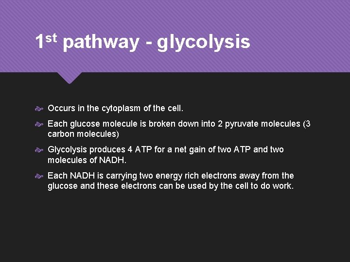 1 st pathway - glycolysis Occurs in the cytoplasm of the cell. Each glucose