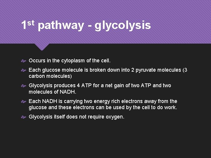 1 st pathway - glycolysis Occurs in the cytoplasm of the cell. Each glucose