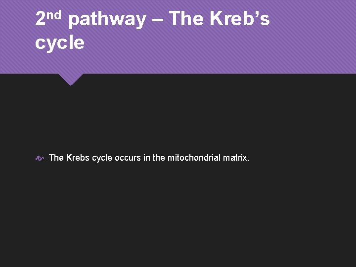 2 nd pathway – The Kreb’s cycle The Krebs cycle occurs in the mitochondrial