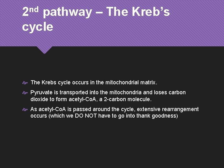 2 nd pathway – The Kreb’s cycle The Krebs cycle occurs in the mitochondrial